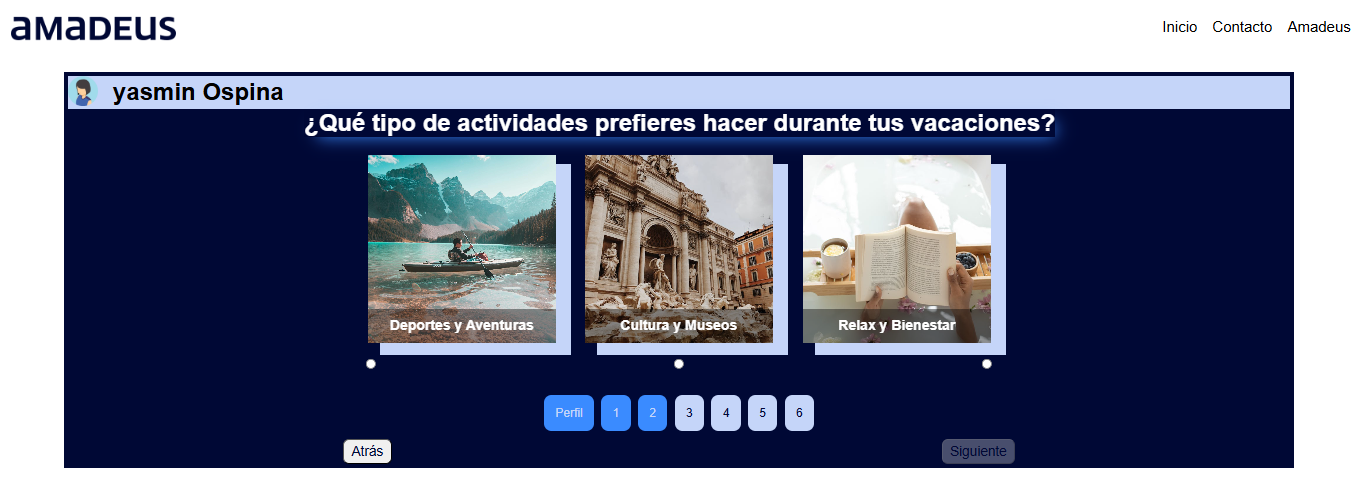 Amadeus Frontend - image 5
