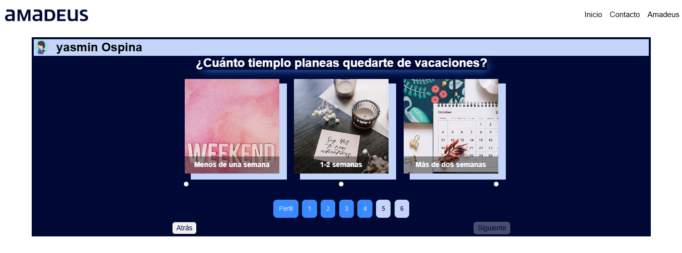 Amadeus Frontend - image 7