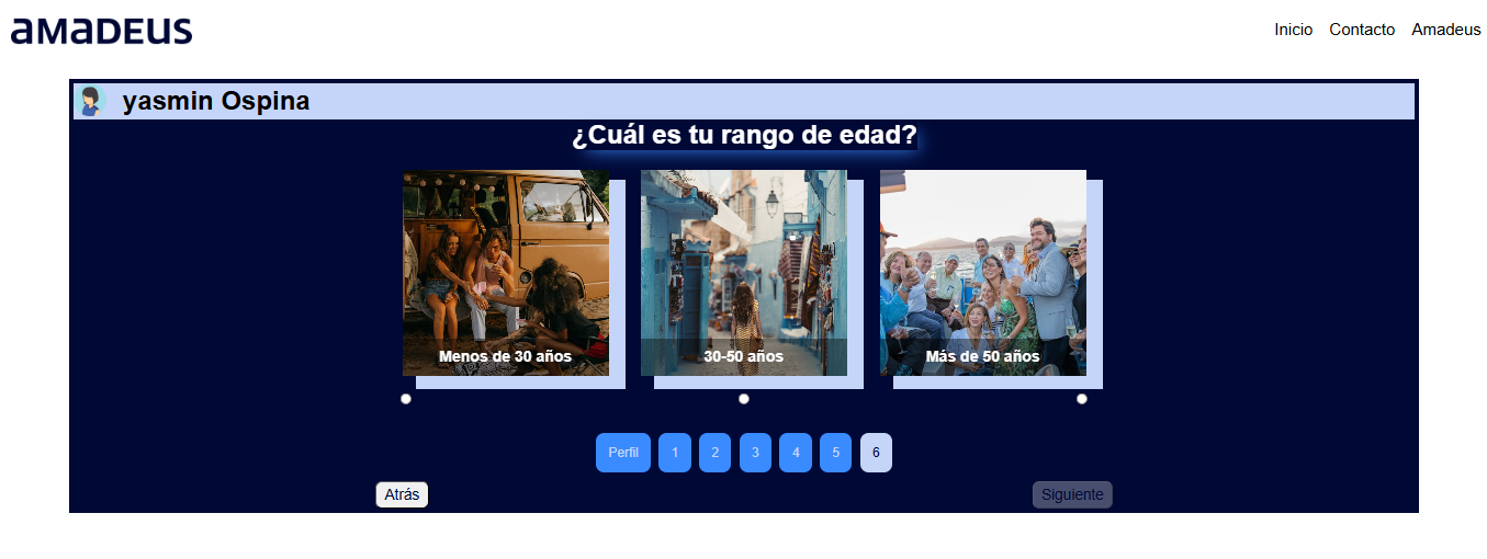 Amadeus Frontend - image 8