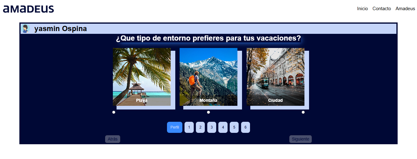 Amadeus Frontend - image 3