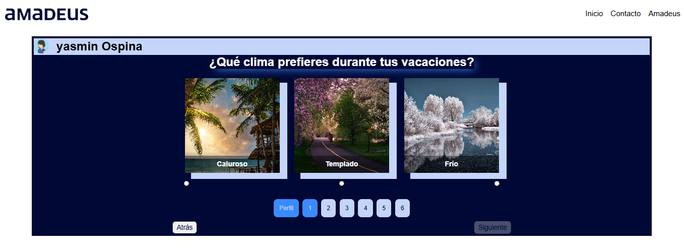 Amadeus Frontend - image 4